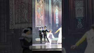 duel between Hamlet and Laertes dance ballet classic classical beautifully hamlet [upl. by Pros]