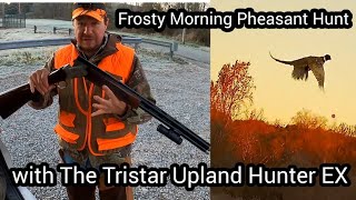 Frosty Morning Pheasant Hunt with The Tristar Upland Hunter EX [upl. by Yrro]