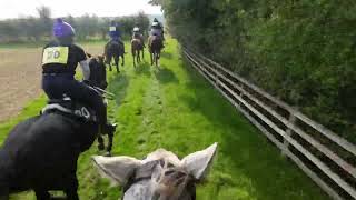 Fox Hunter at The Cottesmore 2024 [upl. by Heady763]