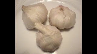 7 ways to store garlic for longer timeHow to store Garlic for 1 yearlehsoon store karne ke tarike [upl. by Ynabe591]