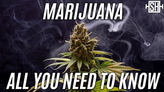 Marijuana All Facts And Numbers [upl. by Myca]