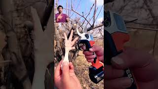 😲Electric scissors for farmer😱fypシ゚ shortsvideo trendingshorts [upl. by Ahsiri83]