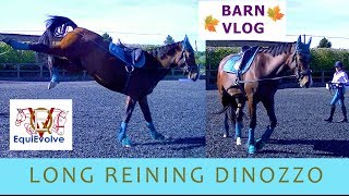 How To Long Rein A Horse with Special Agent DiNozzo [upl. by Sirrap]