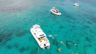 Snorkeling Puerto Rico tour snorkelingpuertorico [upl. by Wulf201]