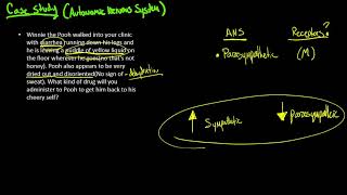 Autonomic Nervous System Case Study [upl. by Naved560]