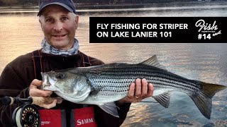 How To Get Started Fly Fishing For Striper On Lake Lanier w Henry Cowen [upl. by Nnawaj]