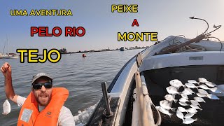 PESCARIA PELO RIO TEJO  PEIXES PORCO  CHOUPAS E MAIS [upl. by Tressia9]