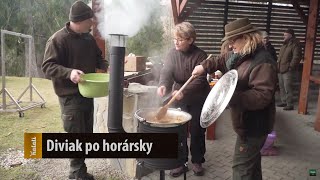 Diviak po horársky [upl. by Notlit988]