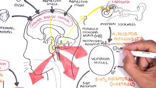 Pharmacology  Antiemetics [upl. by Acirt736]