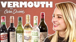 I meet an Expert  Vermouth amp fortifiedaromatised wines explained [upl. by Elrebma]