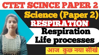 Respiration 🫁 Life processes Life of phases of respiration count respirations By neha saini [upl. by Kathleen]