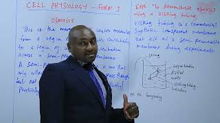 Cell Physiology  Osmosis [upl. by Bohner]