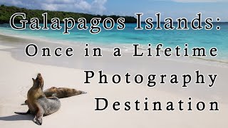 Photography in the Galapagos  What to Expect [upl. by Irisa]