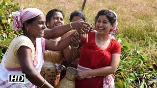 Assam Minister and Actress Angurlata Deka spotted fishing [upl. by Lipinski]