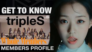 tripleS 트리플에스 Members Profile as of October 2023 S1  S16 GET TO KNOW KPOP [upl. by Cadmann]