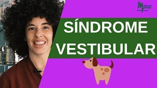 Síndrome Vestibular en Perros [upl. by Lougheed371]