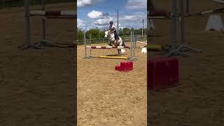 Diament💗 cheval CSO equitation equestrian horse [upl. by Aguie980]