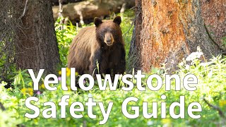 How to Stay Safe in Yellowstone National Park [upl. by Anstice541]