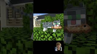 The cat s the dog  which animal is better🤔 minecraft memes funny minecraftmemes [upl. by Fabe]