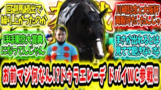 『お前マジなんなんドゥラエレーデドバイWC参戦‼』に対するみんなの反応【競馬の反応集】 [upl. by Annalee860]