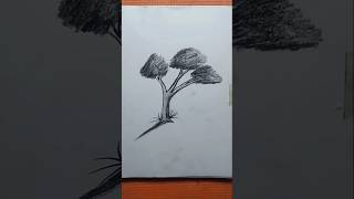 Simple sketch tree drawing 🌲🌳 How to draw simple tree art 🎨pencilart trees sketch shorts [upl. by Yenal]