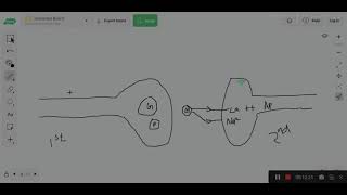 opiod Analgesics  Pharmacology  Malayalam  AAA Lectures [upl. by Alia976]