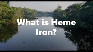 What is Heme Iron [upl. by Fiorenza30]