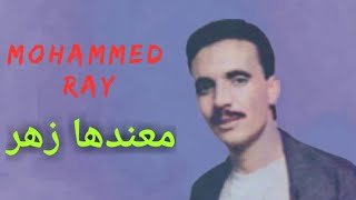 mohammed ray ma3andha zhar محمد راي معندها زهر [upl. by Nneb306]