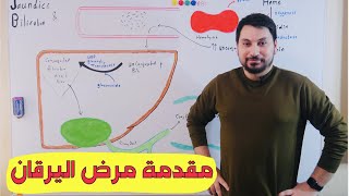 Bilirubin Metabolism القصة الكاملة تكسر الهيم والبليروبين [upl. by Droffats335]