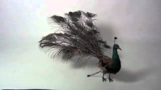 Roullet Decamps peacock automat automaton [upl. by Jaffe542]