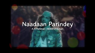 Nadaan ParindeySlowedReverbAR Rahman  Mohit Chauhan rockstar edits [upl. by Trilley]