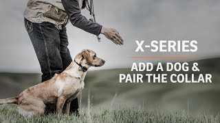 XSeries  How to Add a Dog and Pair the Collar [upl. by Hoehne]