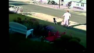 Dog attack caught on tape [upl. by Valentine]