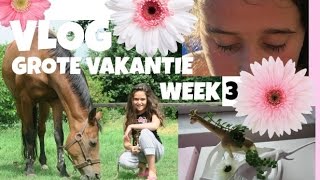 VLOG grote vakantie week 3 [upl. by Radbourne]