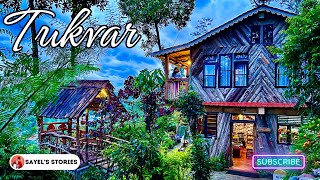 Homestay in Tukvar Tea Estate Darjeeling  Koilee Homestay  Kanchenjungha View সাথে চা বাগান [upl. by Groark]