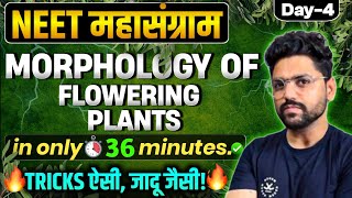 NEET महासंग्राम🔥 MORPHOLOGY OF FLOWERING PLANTS  Neet 2024 [upl. by Gerrard]