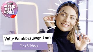 Zo creëer je vollere wenkbrauwen  Makeup tutorial  Kruidvat [upl. by Beryle]