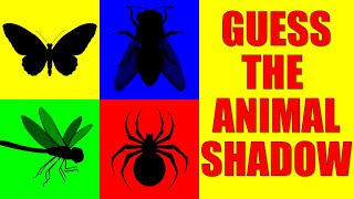 Guess the INSECTS from Their Shadow  Quiz Game for Kids Preschoolers and Kindergarten [upl. by Cardwell749]