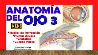 🥇 Anatomía del OJO 33  Medios de Refracción Cámaras del Ojo Humor Acuoso Cuerpo Vítreo [upl. by Fusuy]