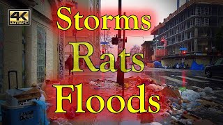 Storms Rats Floods on Skid Row Homeless Encampments Los Angeles [upl. by Danyluk]