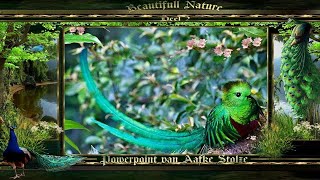 Beautifull Nature Music Enigma by Aafke Stolze [upl. by Garrity]