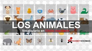 Los animales  Chino mandarín [upl. by Snider]