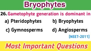 MCQs on Bryophytes  Plant Kingdom mcqs  Botany MCQs [upl. by Eiral]