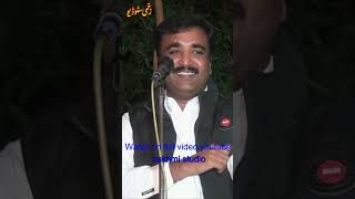 Kawish My Video2 poetry newpunjabipoetry kawishtamimiofficial voiceeffects pti [upl. by Stanly372]