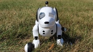 Zoomer The Interactive Robotic Dog Review [upl. by Thaine]