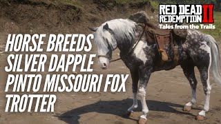 Red Dead Redemption 2 Horse Breeds  Silver Dapple Pinto Missouri Fox Trotter Cinematic Overview [upl. by Ybroc]