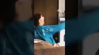 Silly cats 🤣 funnycatvideos funnycats catshorts [upl. by Prosper]