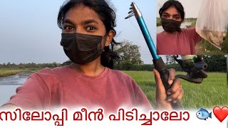 ഒരു തോട്‌ ഫുൾ സിലോപ്പി മീൻ 😨🐟  Fishing  Happy Baby youtube fish fishing [upl. by Thekla]