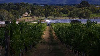 Sewage Treatment Plant for Vineyard [upl. by Ihsir]