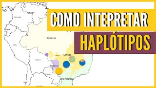 Como interpretar os resultados da rede de haplótipos  Filogeografia [upl. by Gomer]